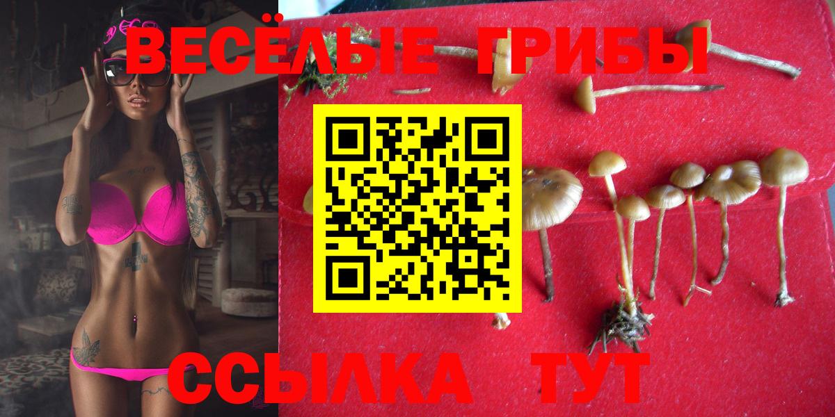 Феодосия  Галлюциногенные грибы MAGIC MUSHROOMS  что такое   Вход с VPN 